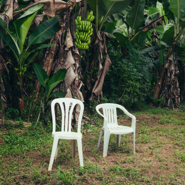 Bad Bunny : Debí Tirar Más Fotos (2xLP, Album, Blu)