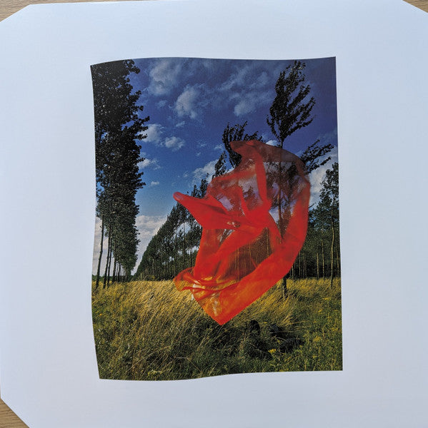 Pink Floyd : Wish You Were Here  (LP, Ltd, RE, RM, Whi)