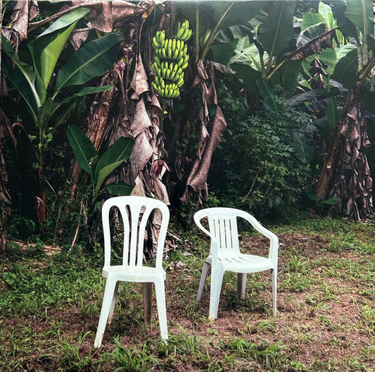 Bad Bunny : Debí Tirar Más Fotos (2xLP, Album, Red)